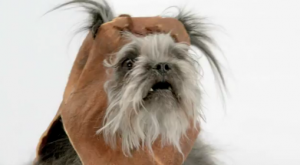 The Bark Side: Volkswagen y “el imperio”