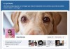 El nuevo perfil de Facebook llegará a las páginas de empresa