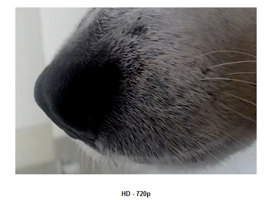 HD- 720 p