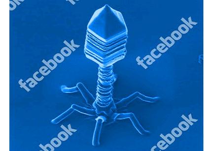 facebook_virus