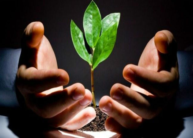 Elige el mejor sector para fundar tu start up