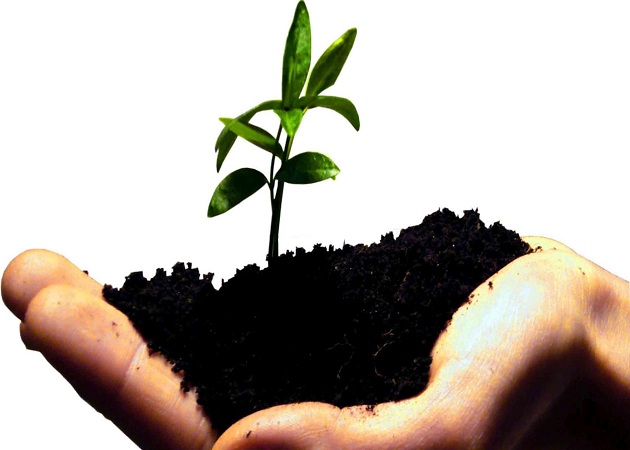 10 cosas que debes aprender antes de fundar tu start-up