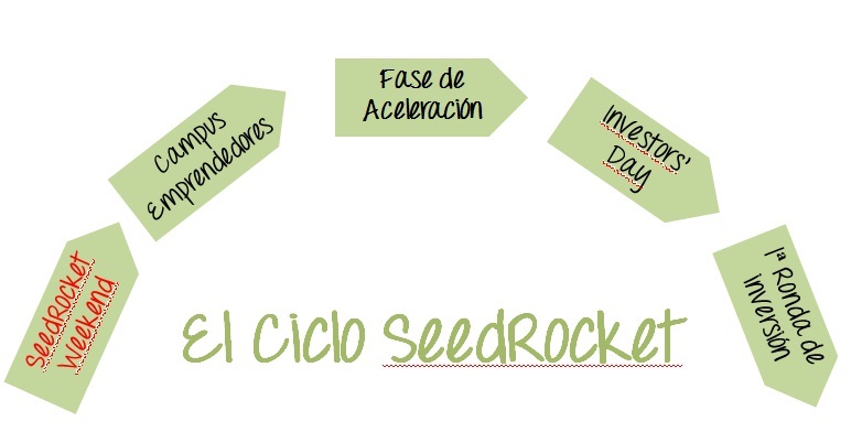 seedrocket_ciclo