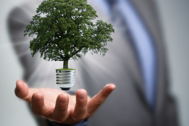 pymes y ecologia medio ambiente