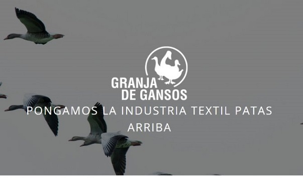 El Ganso, granja de gansos