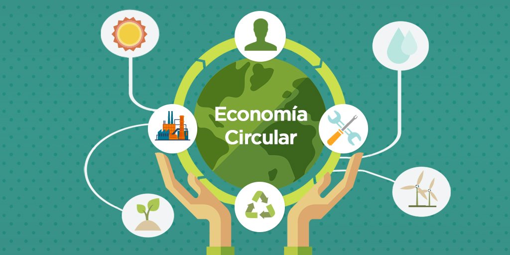 Informe sobre la economía circular: el modelo más eficiente y sostenible  que existe - MuyPymes