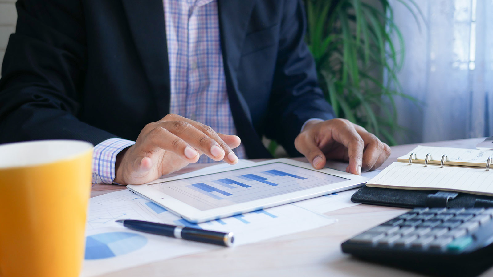 curso último capítulo