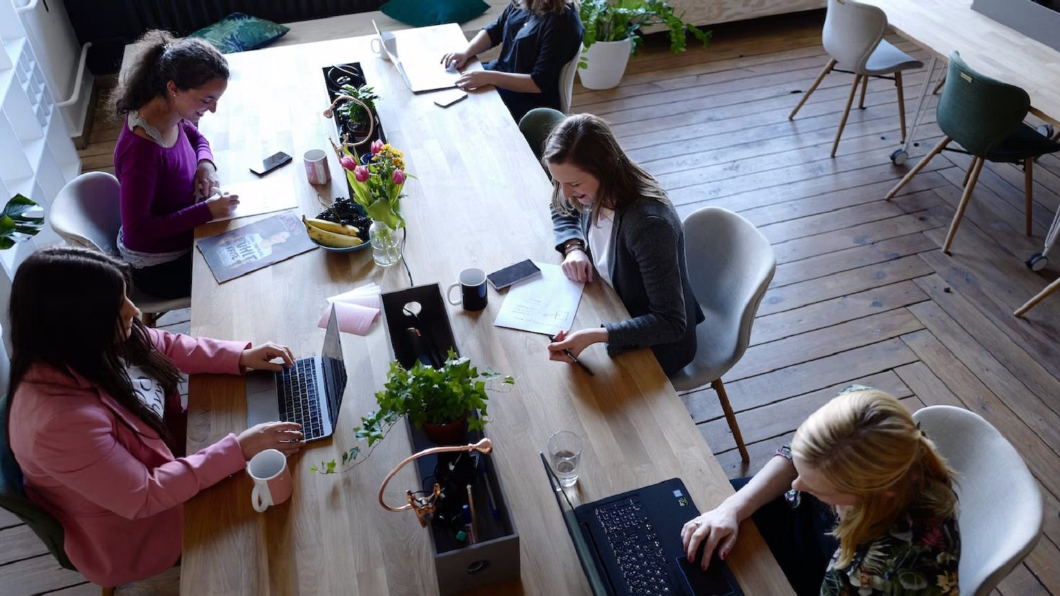 renovar portátil profesional