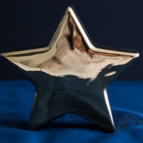 Premio Pyme del Año 2025