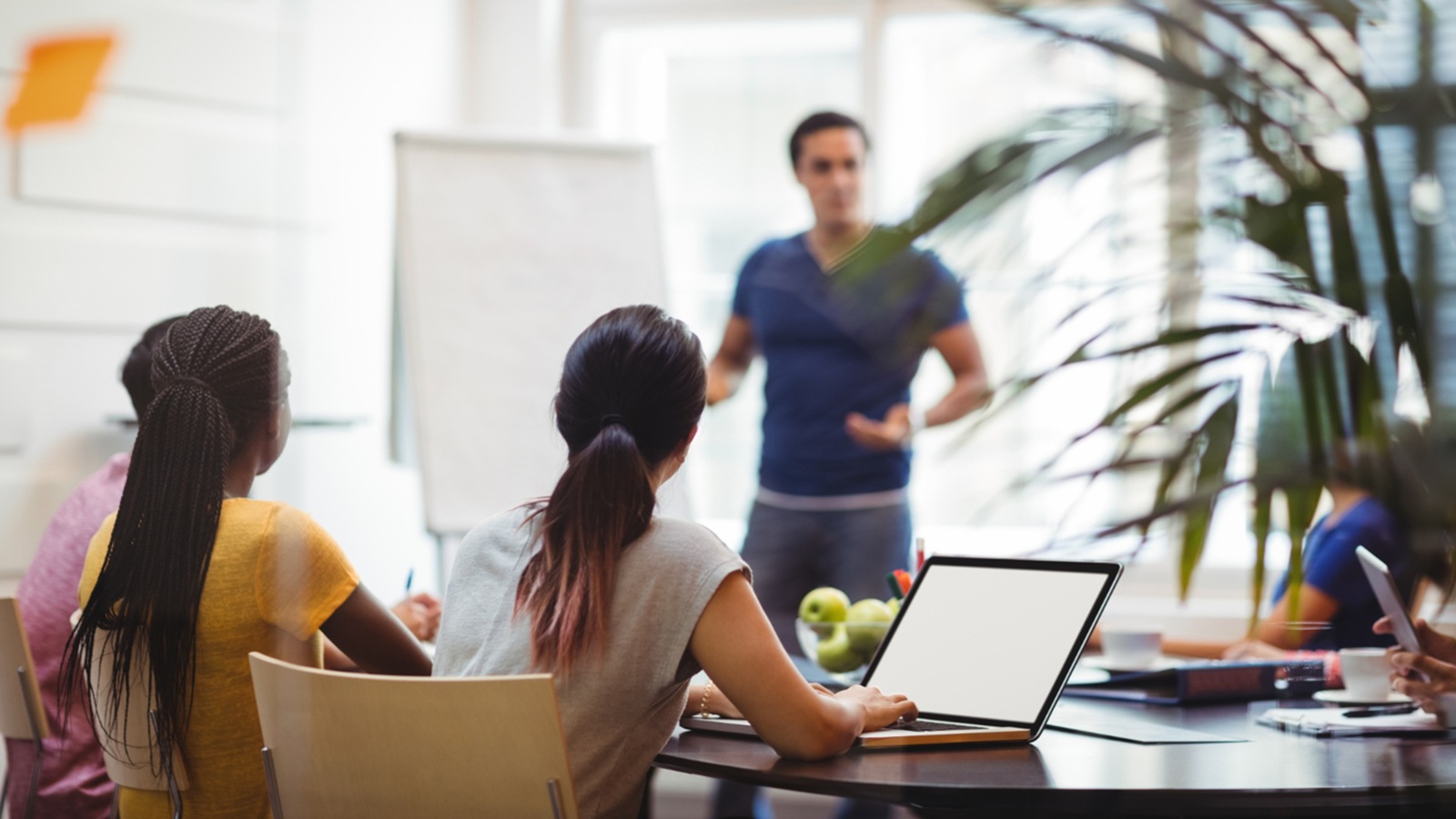 formación profesional