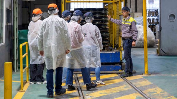 Verescence La Granja Insulators