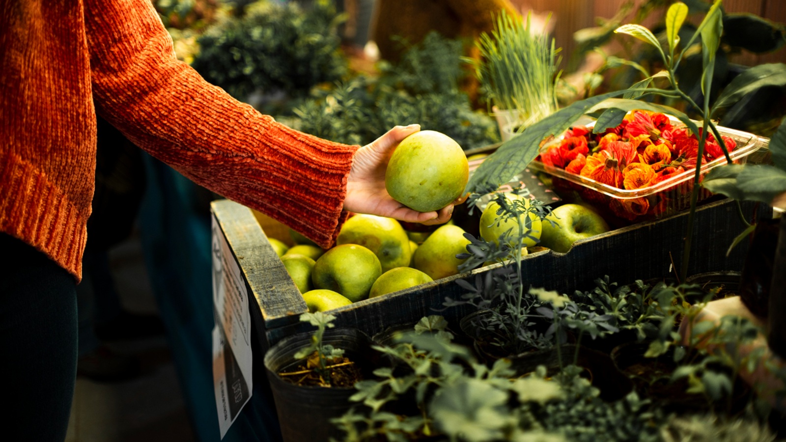 sector hortofrutícola