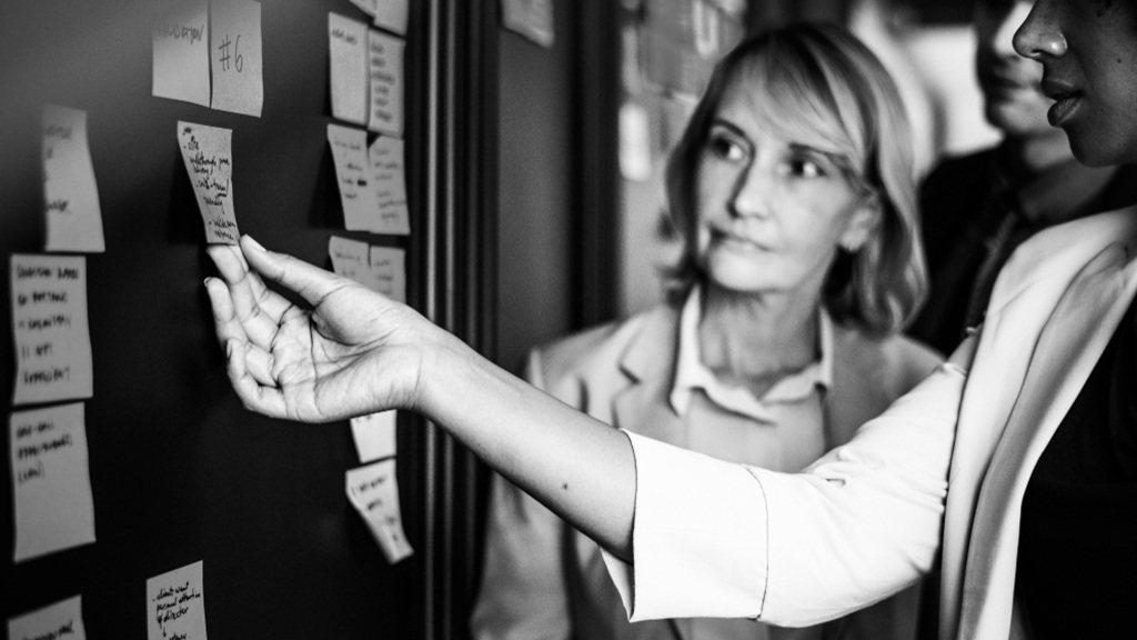 procesos de selección