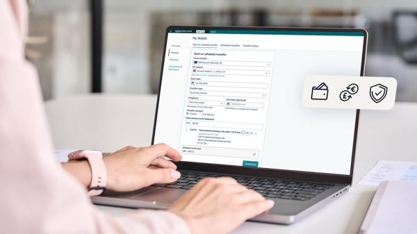 Amazon Seller Wallet