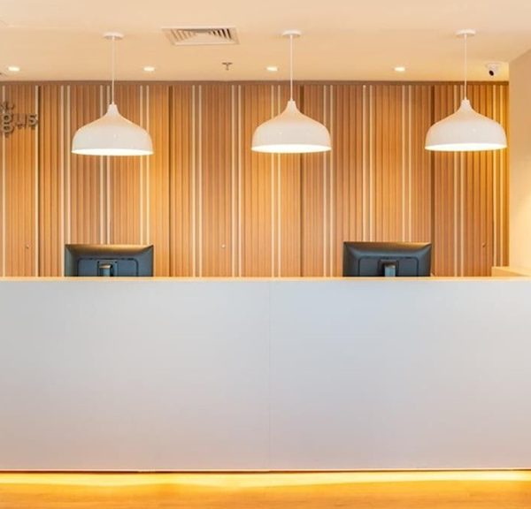 Regus Condesa Venadito