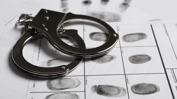 perito criminalístico
