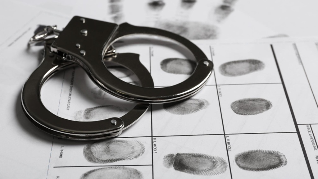 perito criminalístico