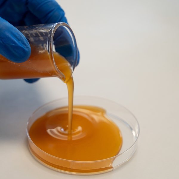 INVESTIGACIÓN