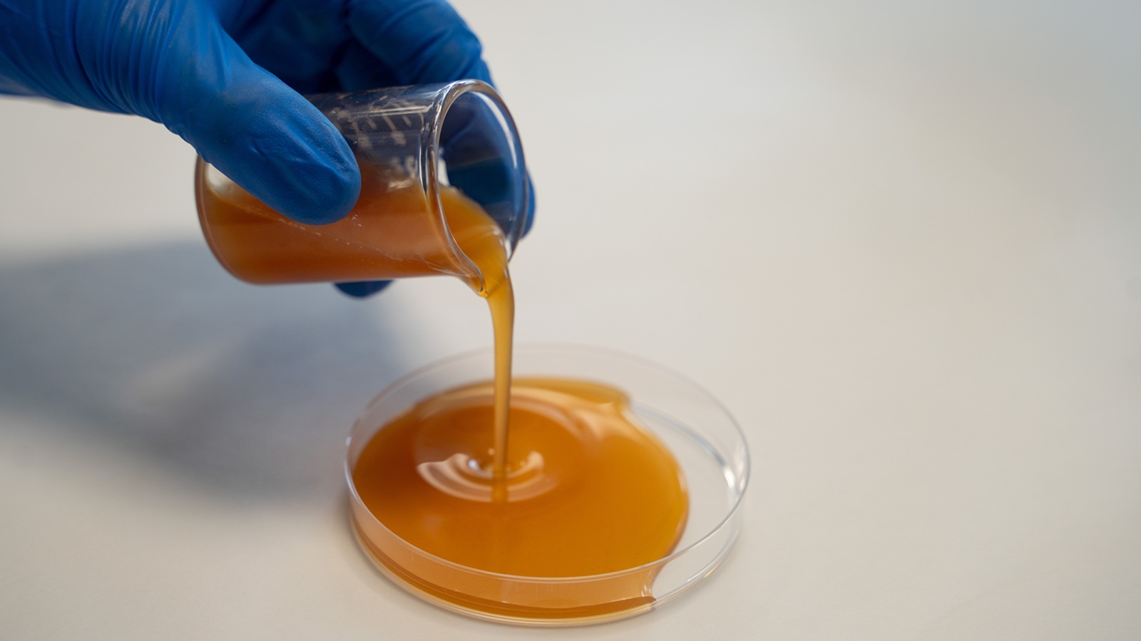 INVESTIGACIÓN
