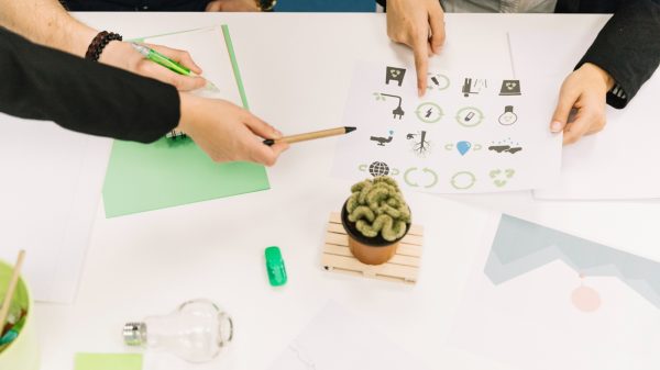 ecosistemas de emprendimiento