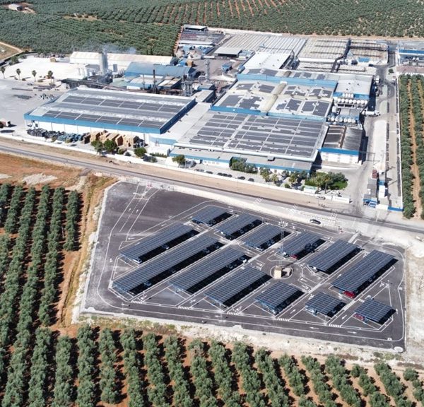 Agrosevilla