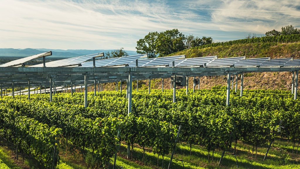 Agrovoltaica
