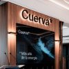 cuerva