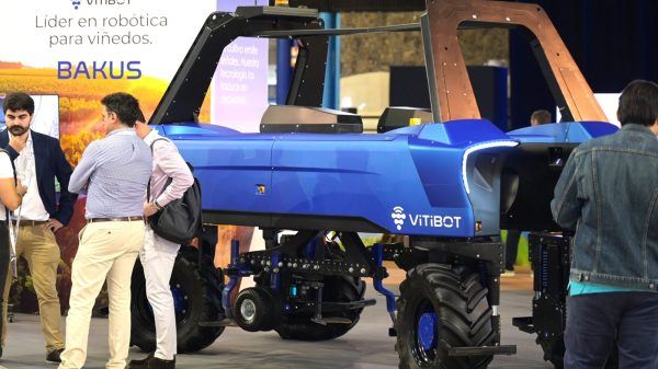 Robot, Vitibot, especializado en la automatización del trabajo en los viñedos